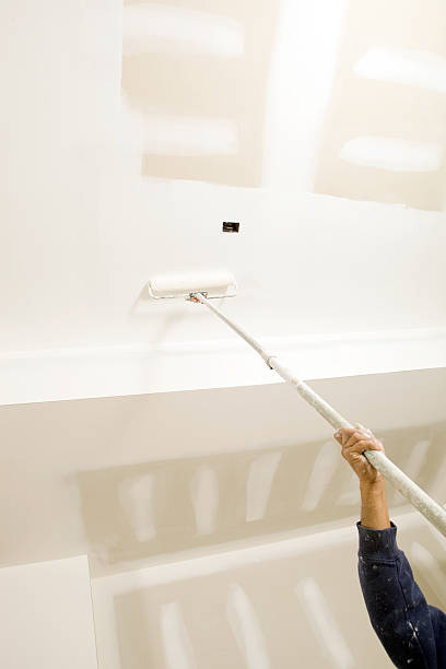 Trusted Tazewell, VA Mold Removal Experts